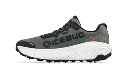 ARCUS 2 W BUGRIP GTX GREY